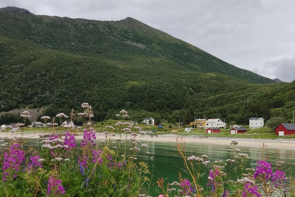 Norwegian House Maria Stua